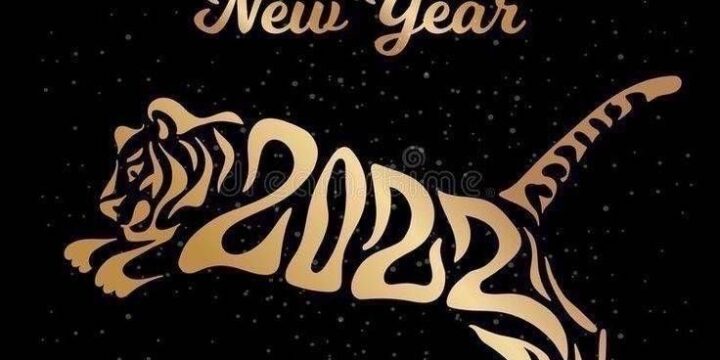 2022年寅年